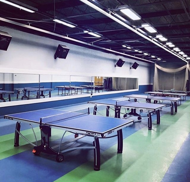 Table tennis tables
